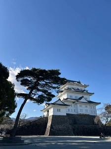 小田原城山公園