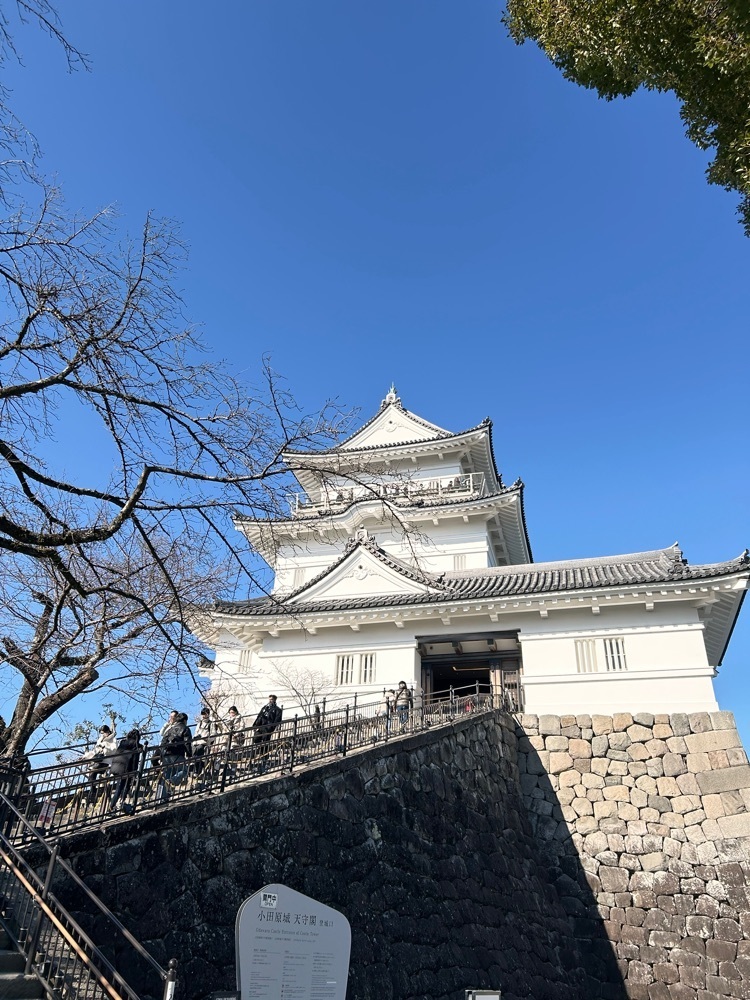 shiroさんが投稿した小田原城山公園に関する口コミの画像
