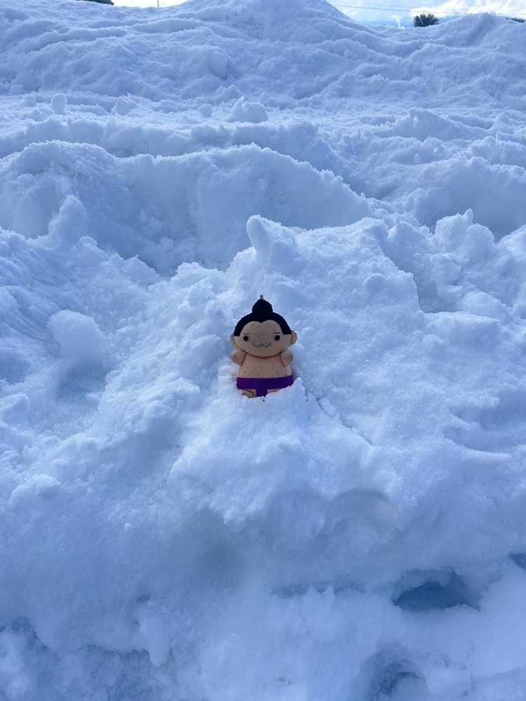 pippiさんが投稿した弘前市に関する口コミの画像