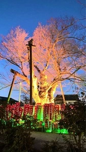 今宮神社（埼玉県秩父市）