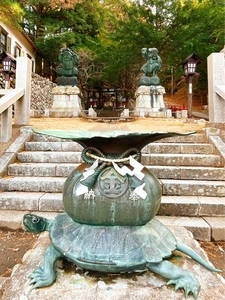 金華山黄金山神社