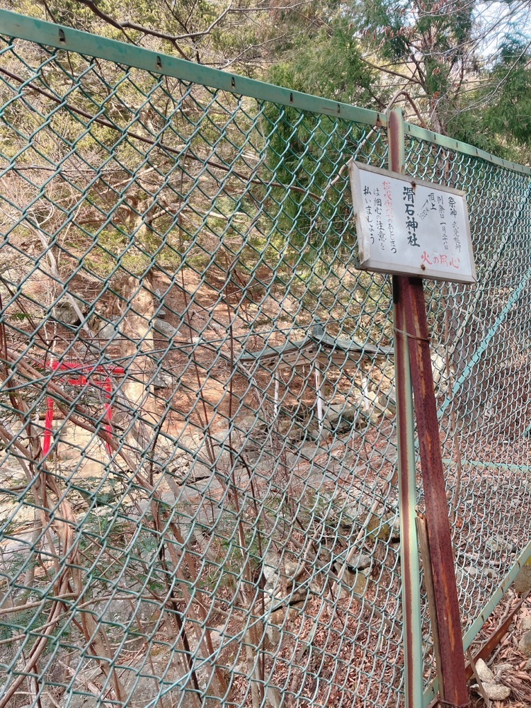 猫なぎ。さんが投稿した金華山黄金山神社に関する口コミの画像