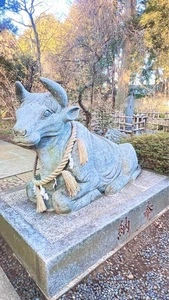 白岡八幡神社