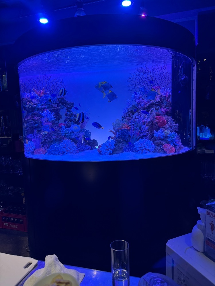 P-sanさんが投稿したbar shark（バーシャーク）に関する口コミの画像