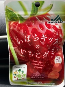 道の駅いたこ