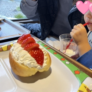 高虎DOG