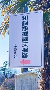 和銅採掘遺跡