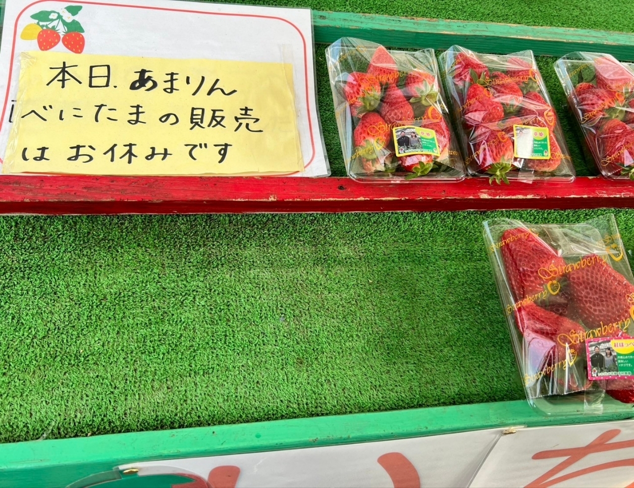 Pさんが投稿したいちごとお花畑　志村農園に関する口コミの画像