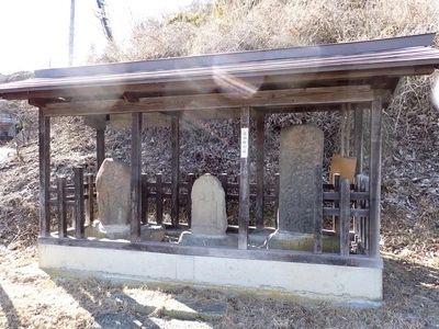 赤怒田福寿草群生地