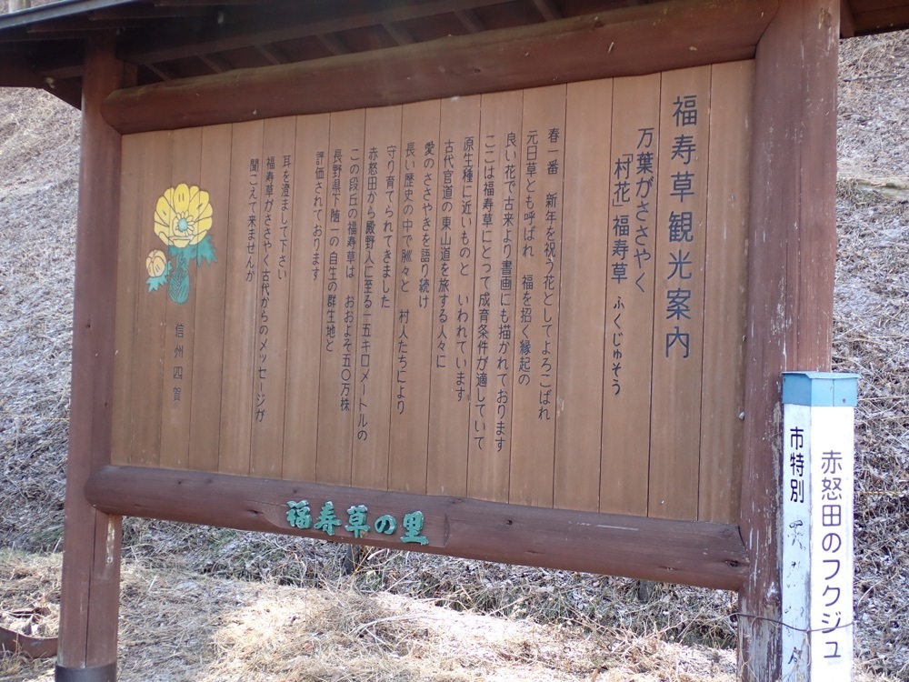 Howl Monさんが投稿した赤怒田福寿草群生地に関する口コミの画像