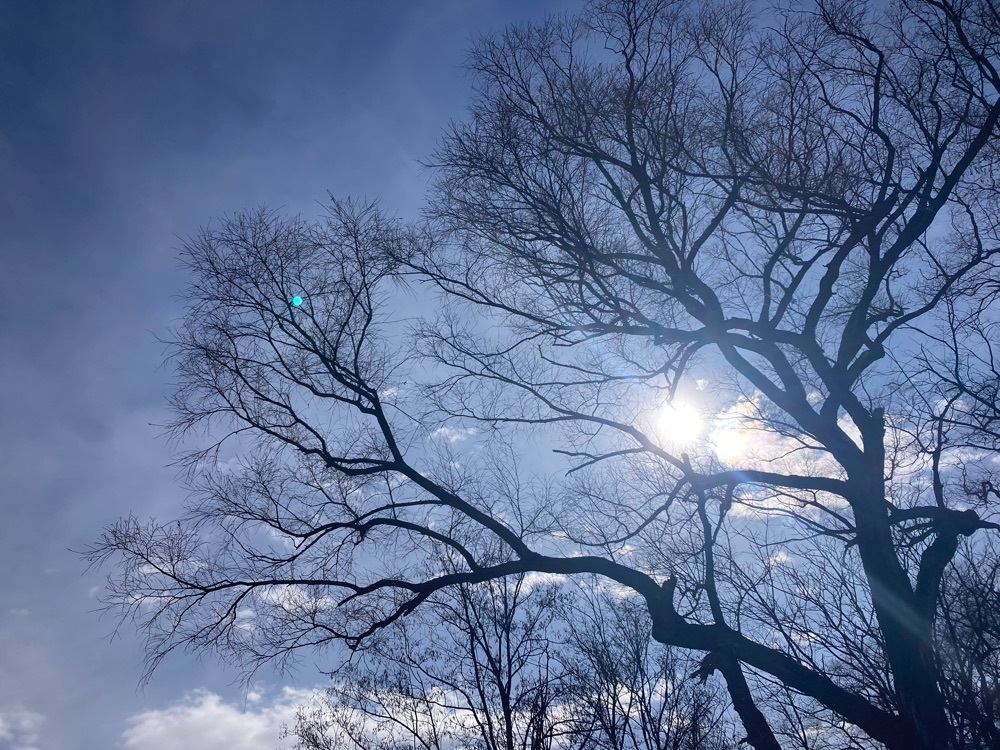 Howl Monさんが投稿した犀川白鳥湖に関する口コミの画像