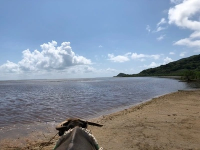 由布島