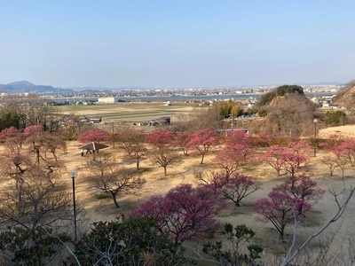 神崎梅園