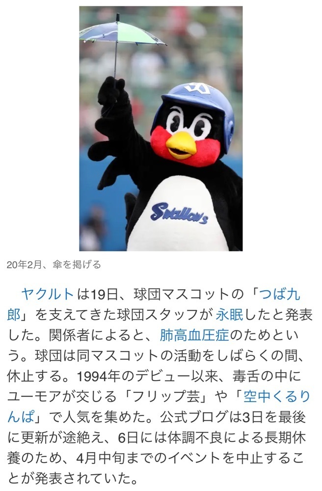 chou chou tabiさんが投稿した東京ヤクルトスワローズ Official Goods Shop つば九郎店（東京ヤクルトスワローズ オフィシャル グッズ ショップ）に関する口コミの画像