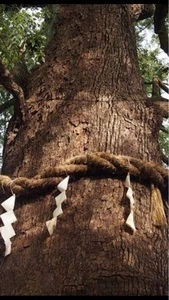 新熊野神社