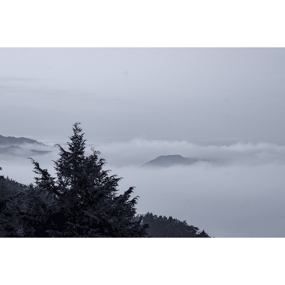 urban_garden_243aさんが投稿した備中松山城雲海展望台に関する口コミの画像