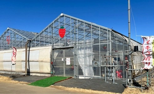 Mori's Farm