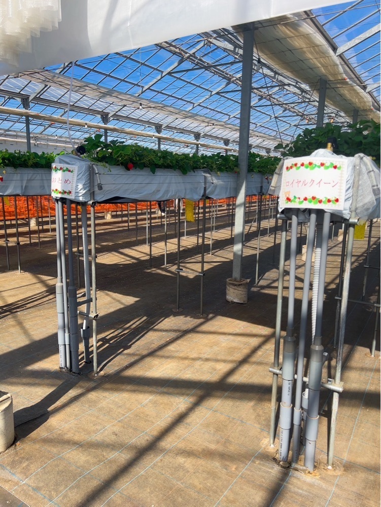 mariさんが投稿したMori's Farmに関する口コミの画像