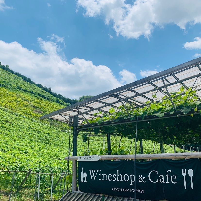 HY816さんが投稿したココ・ファーム・カフェ（COCO FARM CAFE）に関する口コミの画像