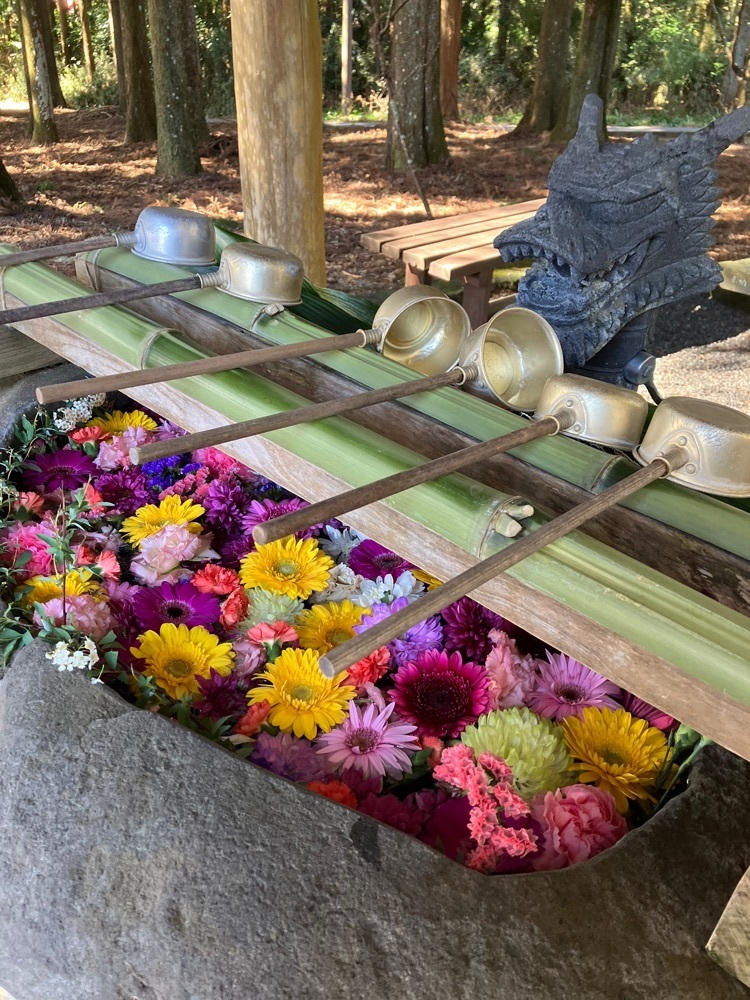 Nさんが投稿した山宮浅間神社に関する口コミの画像