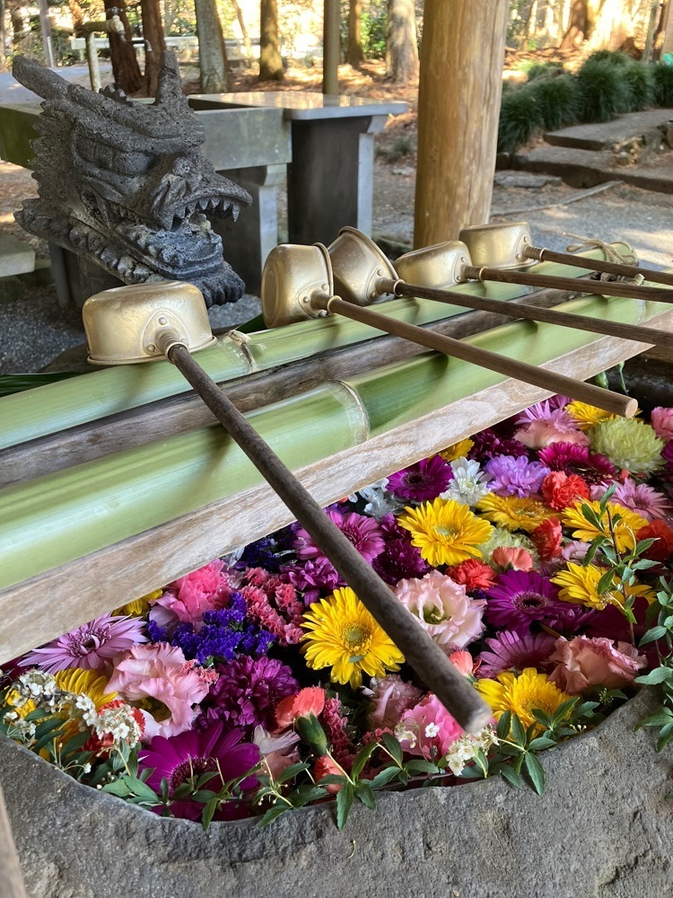 Nさんが投稿した山宮浅間神社に関する口コミの画像