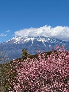 岩本山公園 7枚目