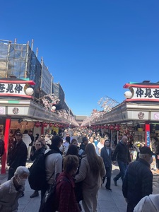 浅草酒場 岡本 ホッピー通り店 3枚目