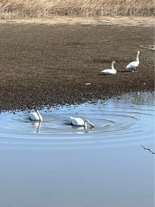 多々良沼公園