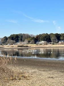 多々良沼公園