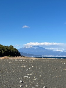 三保松原 4枚目