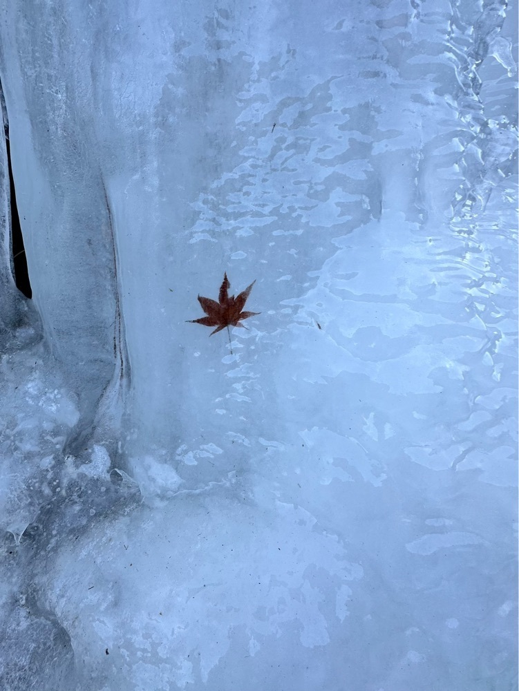 からっ風②さんが投稿した梨木温泉に関する口コミの画像