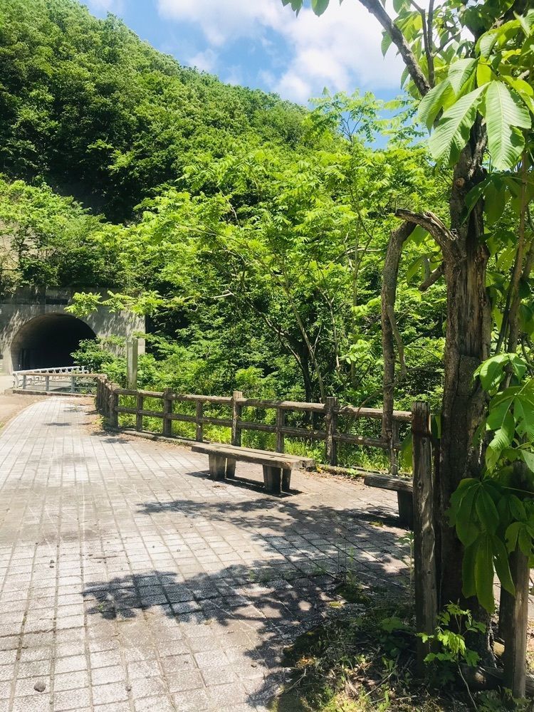 猫なぎ。さんが投稿した温海川の紅葉に関する口コミの画像