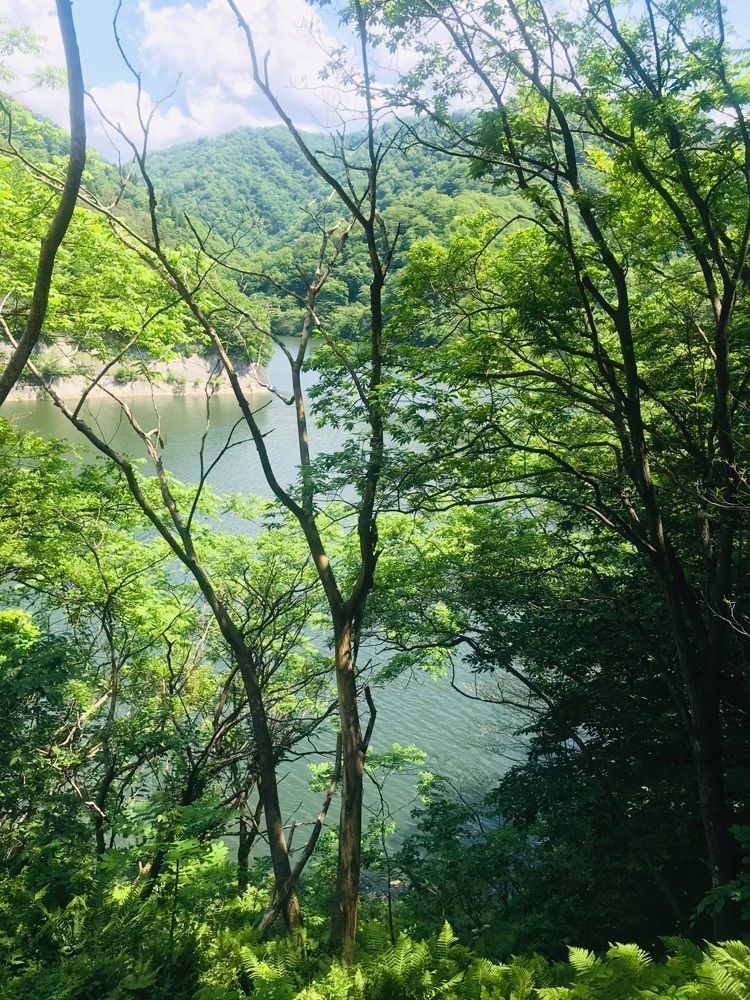 猫なぎ。さんが投稿した温海川の紅葉に関する口コミの画像