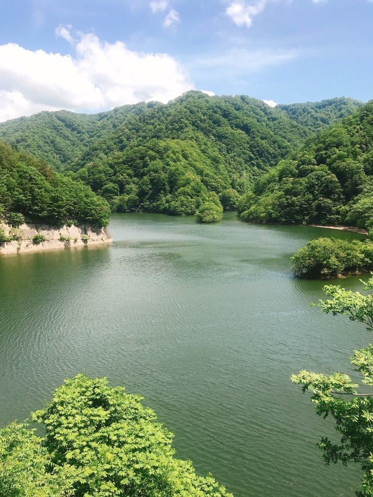 猫なぎ。さんが投稿した温海川の紅葉に関する口コミの画像