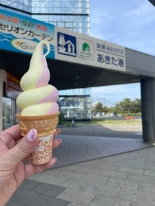 道の駅あきた港ポートタワー・セリオン