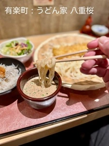 うどん家 八重桜
