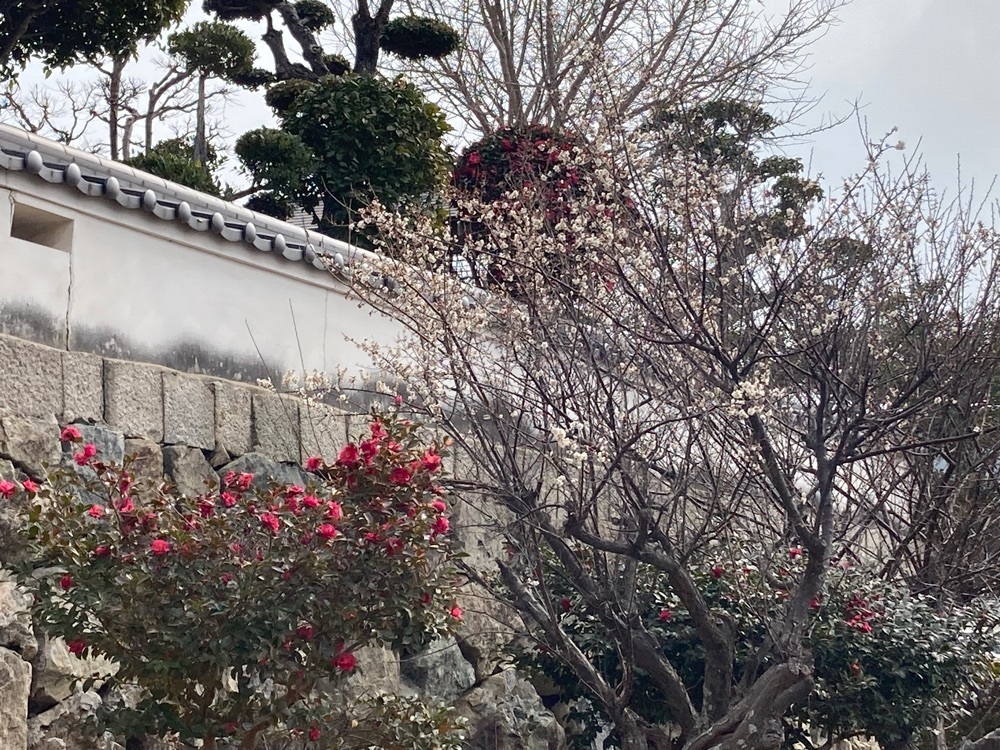 うーとらマンさんが投稿したぼろ小屋に関する口コミの画像