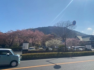 鈴廣 かまぼこの里