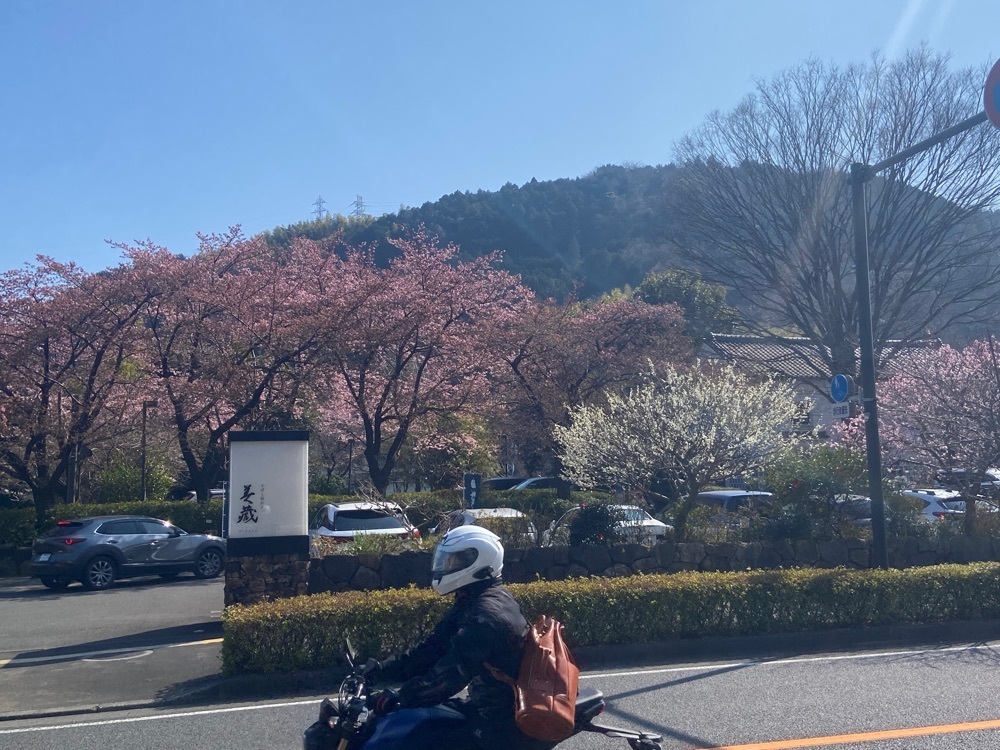ポッキン　アンブレラさんが投稿した鈴廣 かまぼこの里に関する口コミの画像