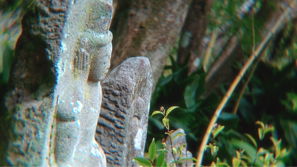 兎きちさんが投稿した豫章館に関する口コミの画像