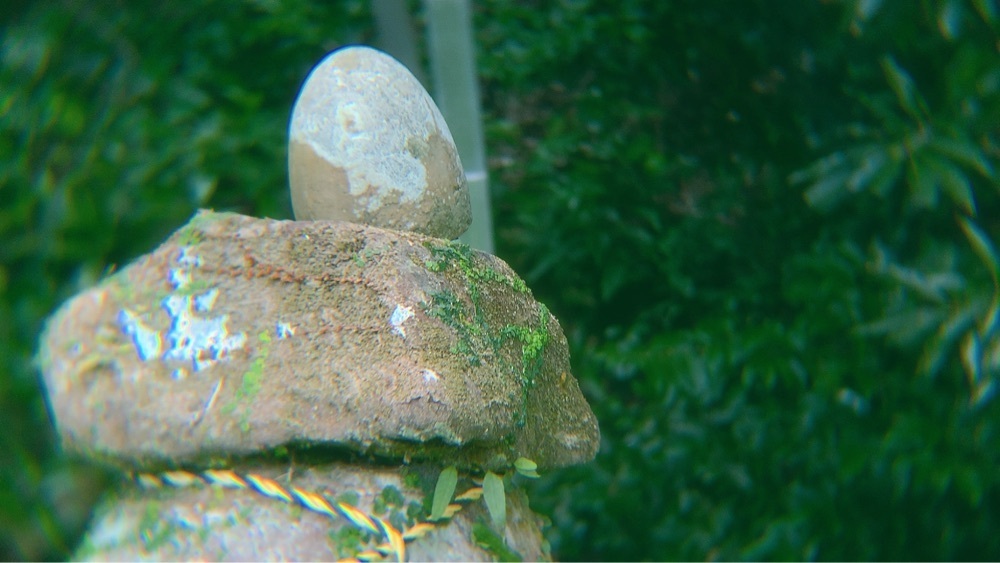 兎きちさんが投稿した豫章館に関する口コミの画像