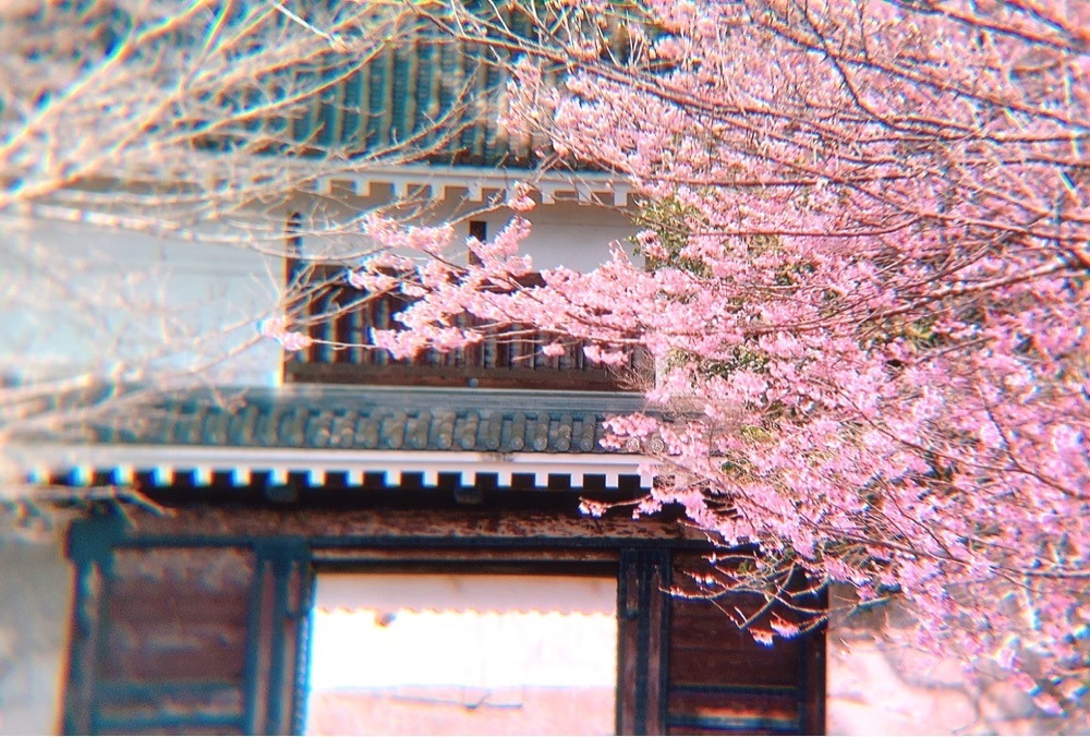 兎きちさんが投稿した豫章館に関する口コミの画像