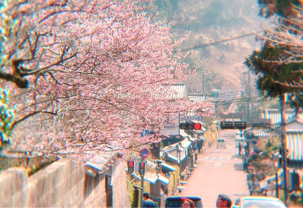 兎きちさんが投稿した旧山本猪平家に関する口コミの画像