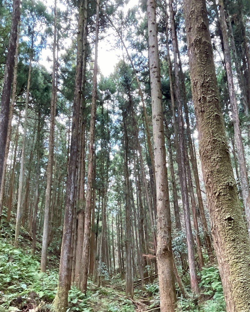 active34さんが投稿した宿谷の滝に関する口コミの画像