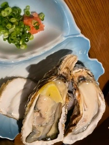 おしか半島