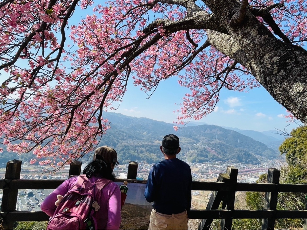 Howl Monさんが投稿した河津町に関する口コミの画像