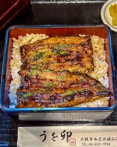 うを卯