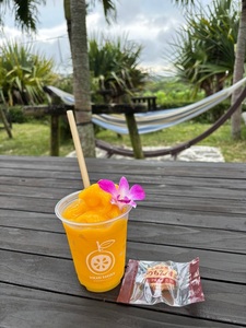 光楽園(ひかりらくえん) 6枚目