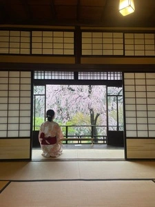 旧安田楠雄邸