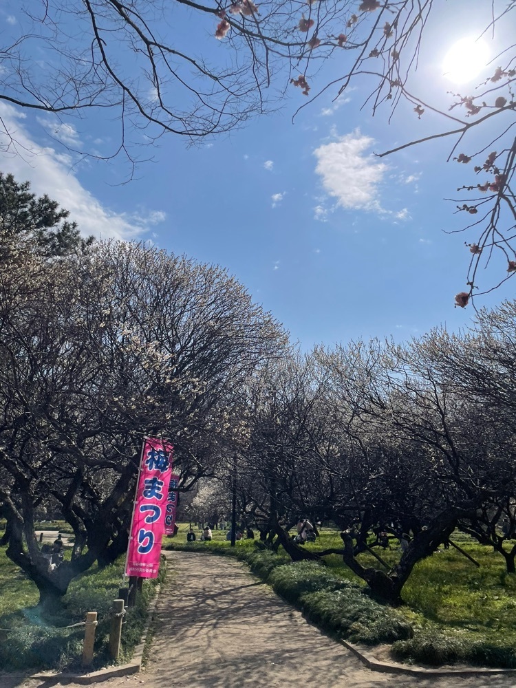 ❁⃘*.ﾟ·͜·♡さんが投稿した越谷梅林公園に関する口コミの画像
